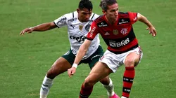 acción de juego entre Palmeiras y Flamengo.
