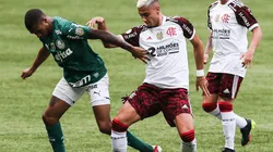 Acción de juego entre Palmeiras vs Flamengo.