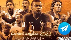 ¡Camino a Qatar 2022 llegó a Telegram! Recibe las noticias más importantes
