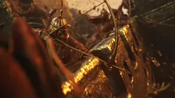 Trailer de lanzamiento de Age of Empires IV