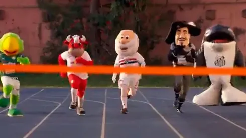 Mascotas paulistas en acción.