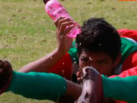 Enjambre de abejas atacan jugadores en torneo del fútbol boliviano