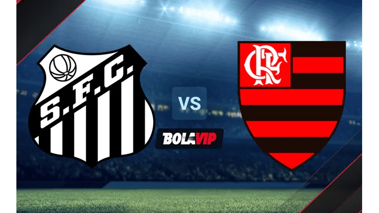Santos vs. Flamengo juegan por la Fecha 18 del Brasileirao