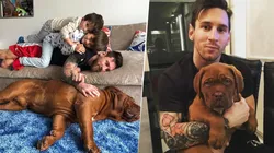 ¿Qué pasó con Hulk, el perro de Lionel Messi que sigue en Barcelona?. (Instagram de Messi)