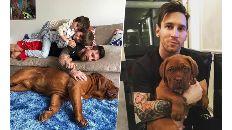 ¿Qué pasó con Hulk, el perro de Lionel Messi que sigue en Barcelona?. (Instagram de Messi)