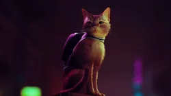Stray: primer gameplay del simulador de gato para PlayStation y PC