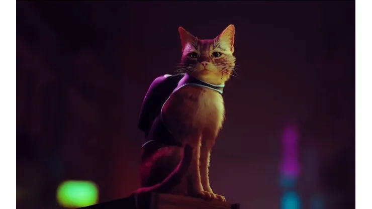 Stray: primer gameplay del simulador de gato para PlayStation y PC