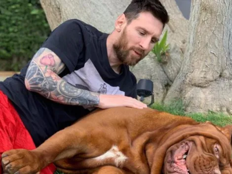 Día mundial del perro: las mascotas de Messi y otros cracks