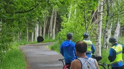 Una mamá osa interrumpió un maratón en Alaska