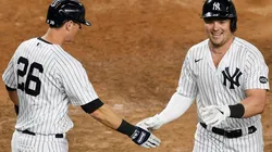 DJ LeMahieu y Luke Voit (Foto: Getty)
