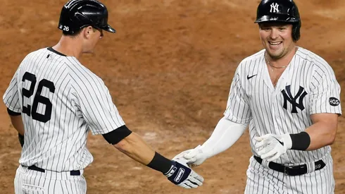DJ LeMahieu y Luke Voit (Foto: Getty)