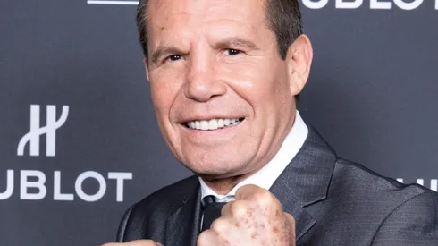 Este 19 de junio, Julio Cesar Chavez vs. Hector Camacho Jr EN VIVO por pelea de exhibición (Fuente: Getty).