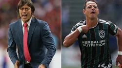 Matías Almeyda y Javier Chicharito Hernández