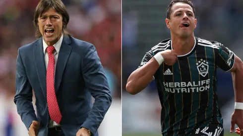 Matías Almeyda y Javier Chicharito Hernández