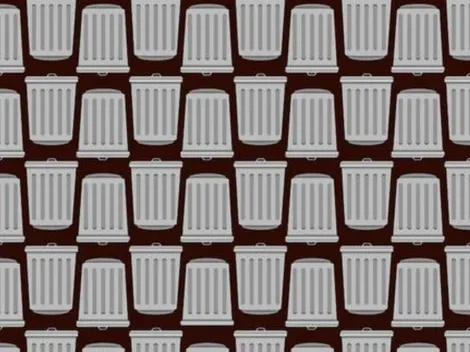 Reto visual: encuentra los dos botes de basura que no contienen tapa