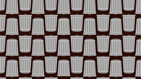 Resto visual: encontrar los botes de basura sin tapa.