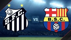 Santos vs. Barcelona SC por la Copa Libertadores.
