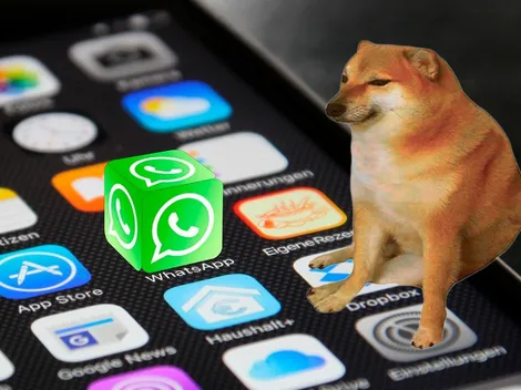 Trucos de WhatsApp: Cómo descargar los mejores stickers de Cheems