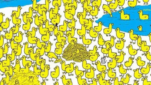 Debes hallar al pollito.