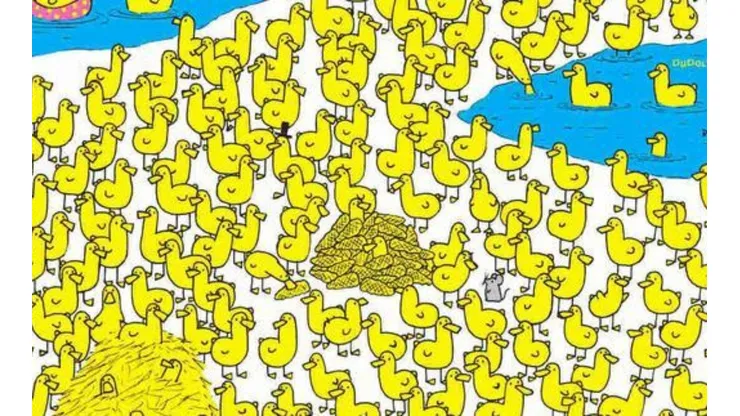 Debes hallar al pollito.