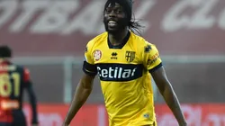 Gervinho, Pumas UNAM