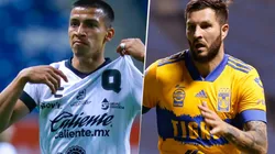 Querétaro vs. Tigres UANL, Liga MX (Foto: Imago7)