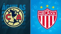 América vs. Necaxa EN VIVO: cuándo y dónde ver en directo y gratis el partido por la Liga MX (Fuente: Twitter).