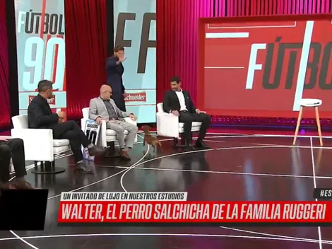 Vignolo estaba jugando con el perro de Ruggeri y se asustó: "¡Ataque a Oscar!"