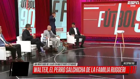 Vignolo estaba jugando con el perro de Ruggeri y se asustó: "¡Ataque a Oscar!"