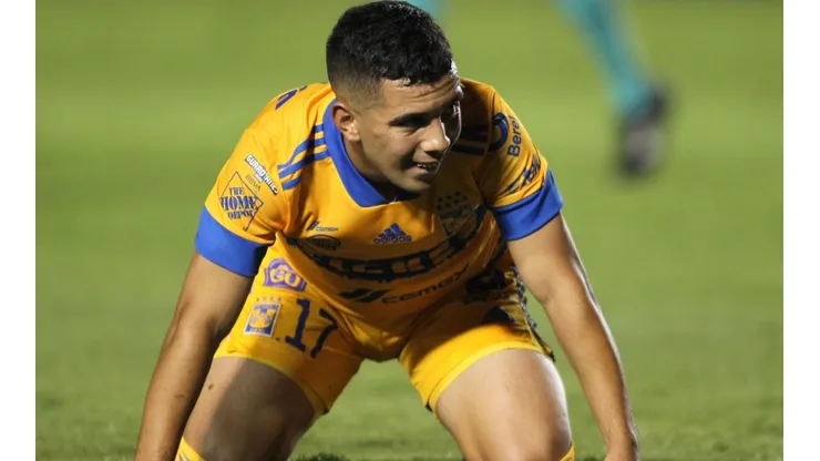 ¿Quién rescatará a Leonardo Fernández de Tigres UANL?