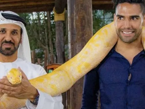 ¿Qué haces, Falcao? Sin miedo a nada, se sacó foto con una serpiente pitón