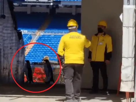 En Madrid están 'flipando': el video viral de unos pingüinos paseando por el Bernabéu