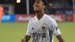 Álvarez sería convocado al Tri mayor.