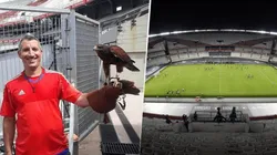 El motivo es buenísimo: River contrató dos gavilanes para el Monumental