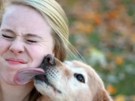 Todas las cosas adorables que puedes hacer con tu perro
