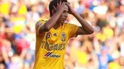 Jürgen Damm, Tigres