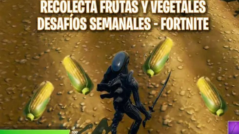 Cómo y dónde recolectar frutas y vegetales en Fortnite