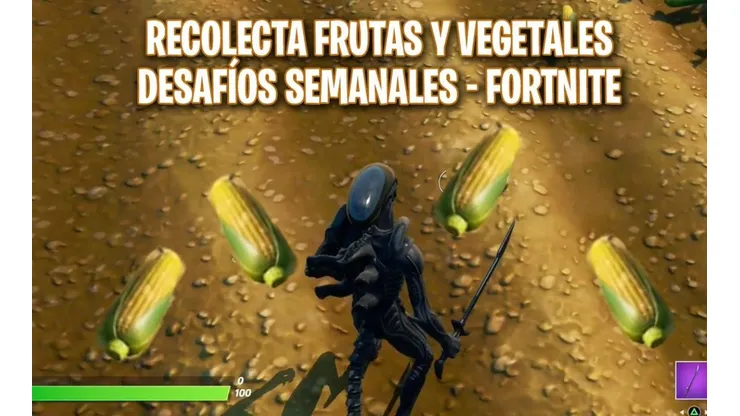 Cómo y dónde recolectar frutas y vegetales en Fortnite