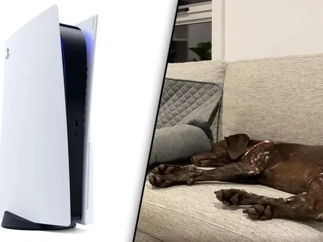 Video viral: perro entrenado para irse a dormir cuando su dueño apaga la PS5