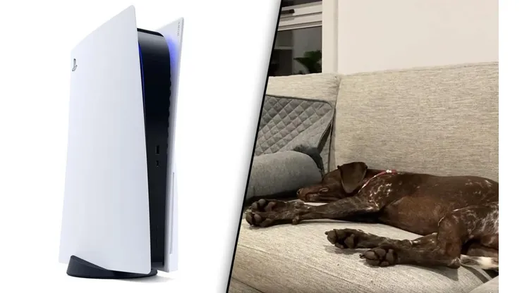 Video viral: perro entrenado para irse a dormir cuando su dueño apaga la PS5