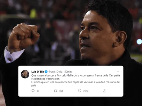 D'Elia propuso a Gallardo para estar al frente de la Campaña de Vacunación