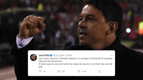 D'Elia propuso a Gallardo para estar al frente de la Campaña de Vacunación