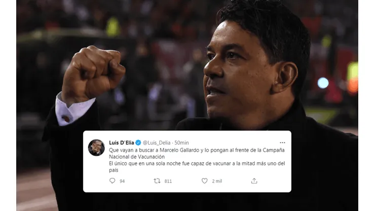 D'Elia propuso a Gallardo para estar al frente de la Campaña de Vacunación