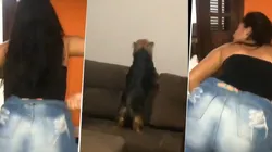 Video viral: ella estaba bailando, pero nunca pensó que su perro diabólico la imitaría