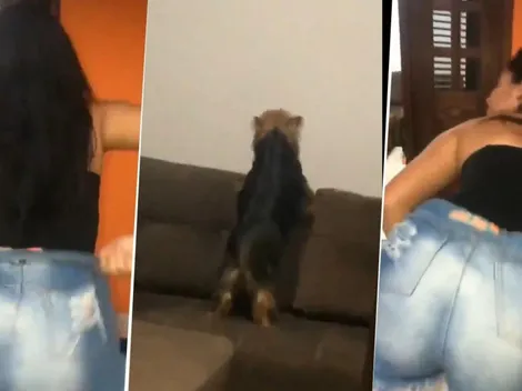 Video viral: ella estaba bailando, pero nunca pensó que su perro diabólico la imitaría