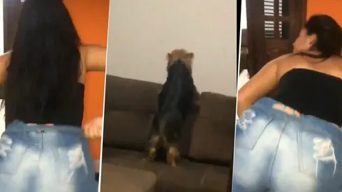 Video viral: ella estaba bailando, pero nunca pensó que su perro diabólico la imitaría