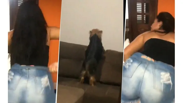 Video viral: ella estaba bailando, pero nunca pensó que su perro diabólico la imitaría