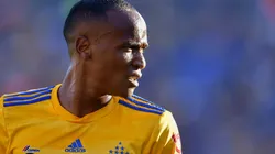 Luis Quiñones concentraría para el Clásico Regio