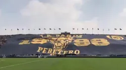 Para aplaudir: espectacular recibimiento de la afición de Pumas ante Cruz Azul