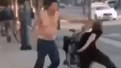 Video viral: ganó una pelea callejera gracias a un árbol diabólico